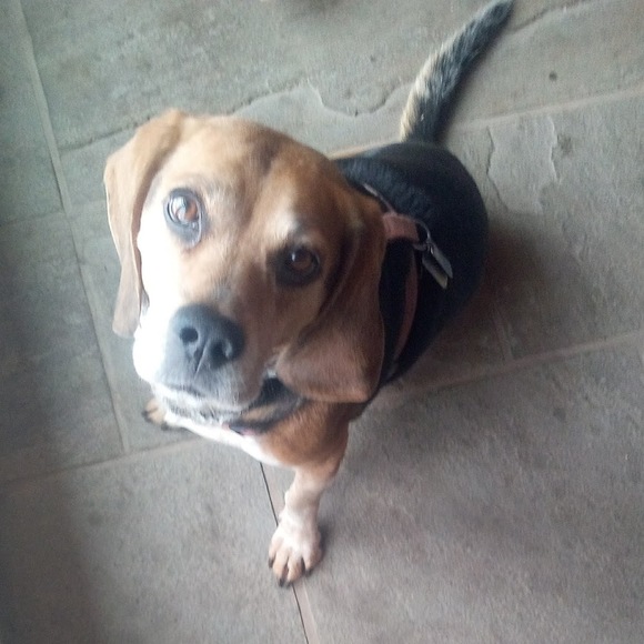 Meet your Posher, Mr. - Picture 1 of 1